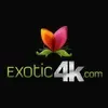 Exotic4K's Profile'